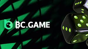 Experience the Excitement of the BC.Game Mobile App