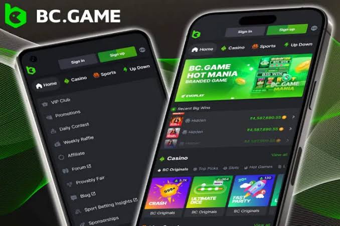 Exploring BC.Game Casino A New Era of Online Gambling in Africa